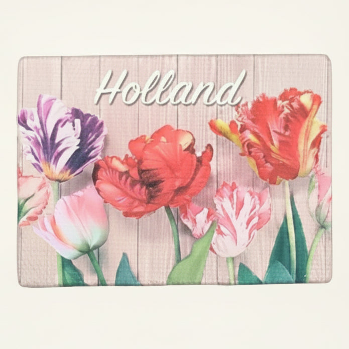 Pink, Red and Purple Tulips Magnet Canvas