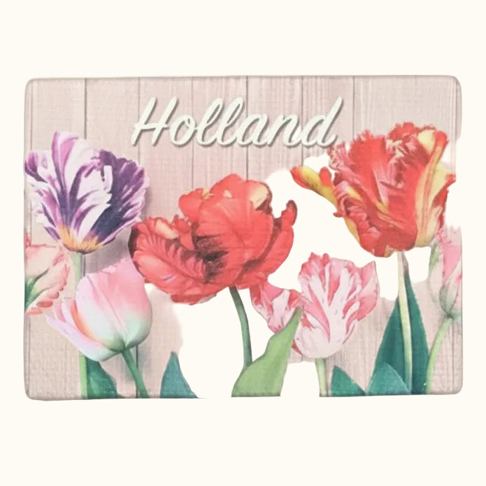 Pink, Red and Purple Tulips Magnet Canvas