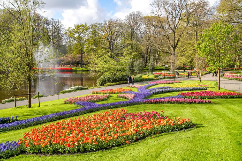 The Netherlands: Still the World Leader in Flowers