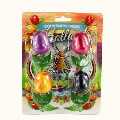 Blister 4 Magnets Tulips