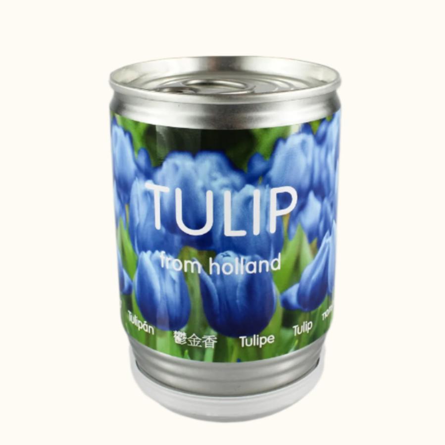 Tulip Seeds Blue In Can