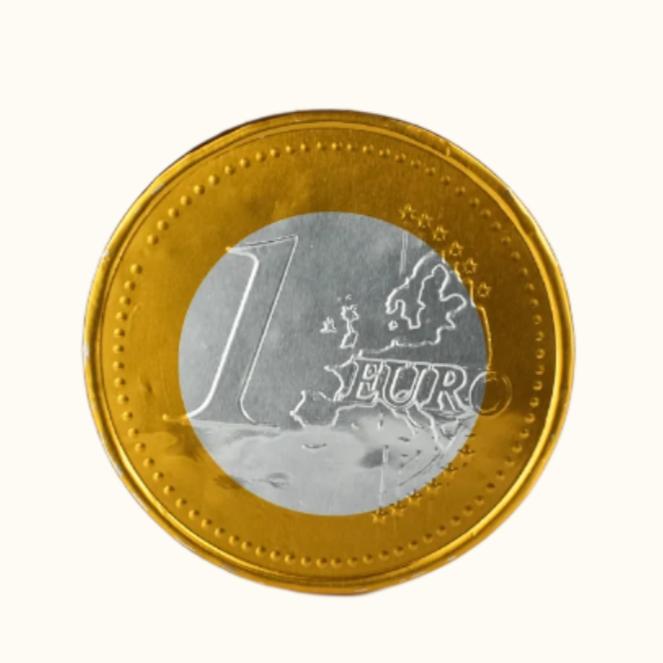 Chocolate Big Coin 50g