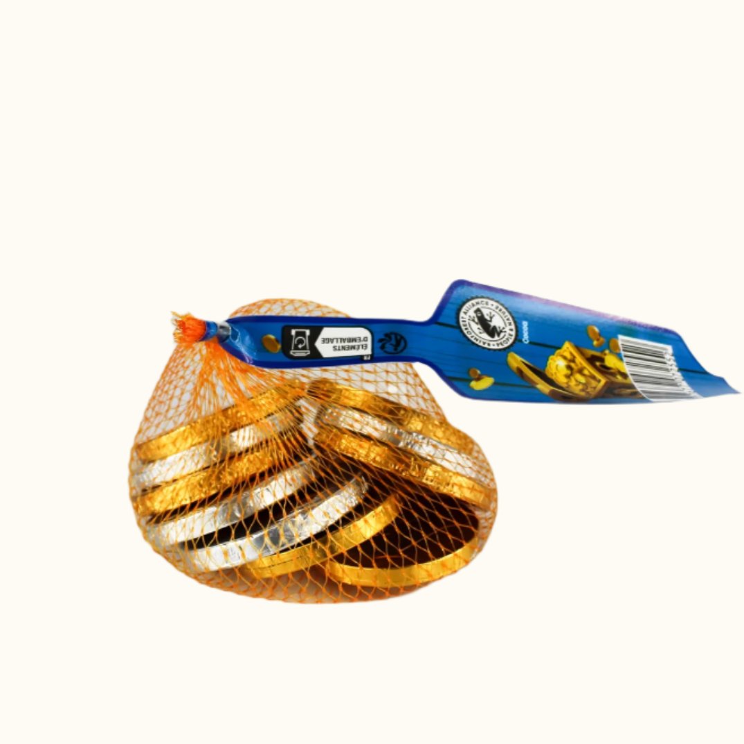 Chocolate Small Coins Bag 100g