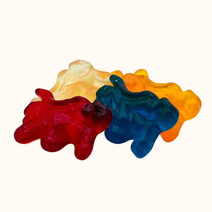 Matthijs Holland Leeuwen Snoep 1kg