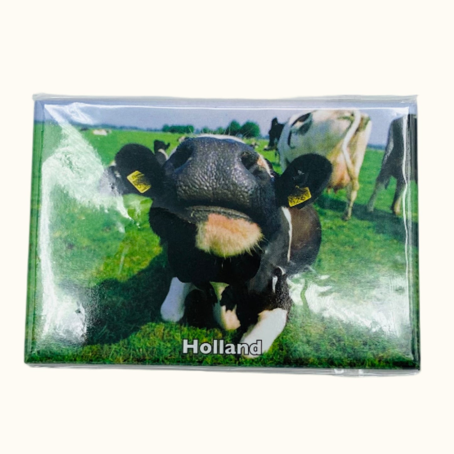Holland Cow Magnet