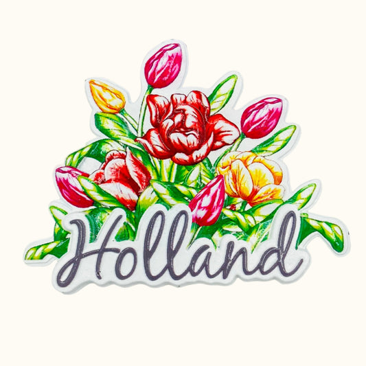 Holland Tulips Multi Magnet