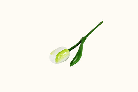 Houten tulp van Dutch Groceries, 34 cm